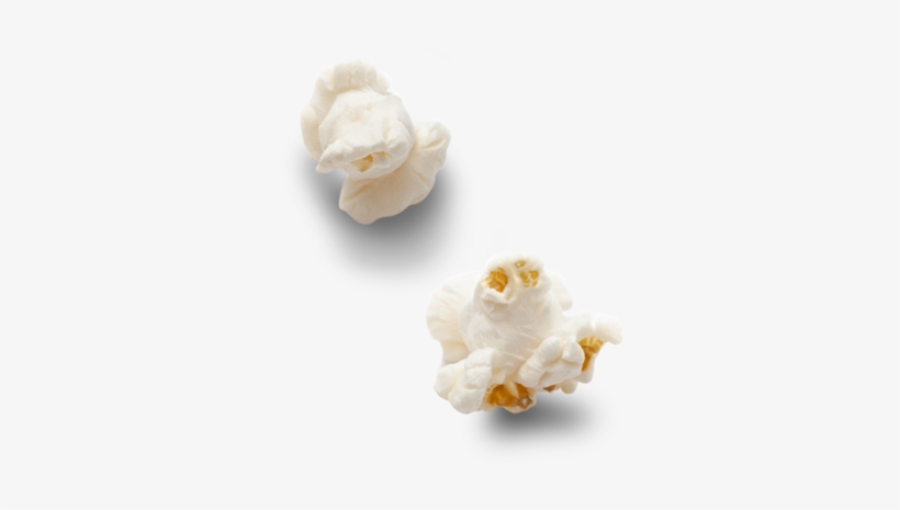 Detail Popcorn Kernel Png Nomer 10
