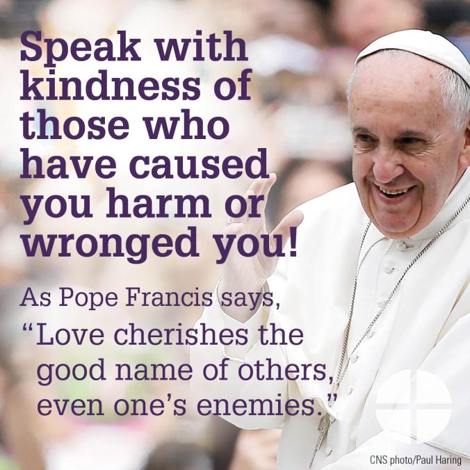 Detail Pope Francis Quotes Nomer 16