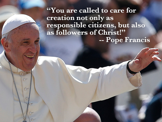 Detail Pope Francis Quotes Nomer 24