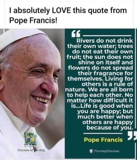 Detail Pope Francis Quotes On Helping Others Nomer 44