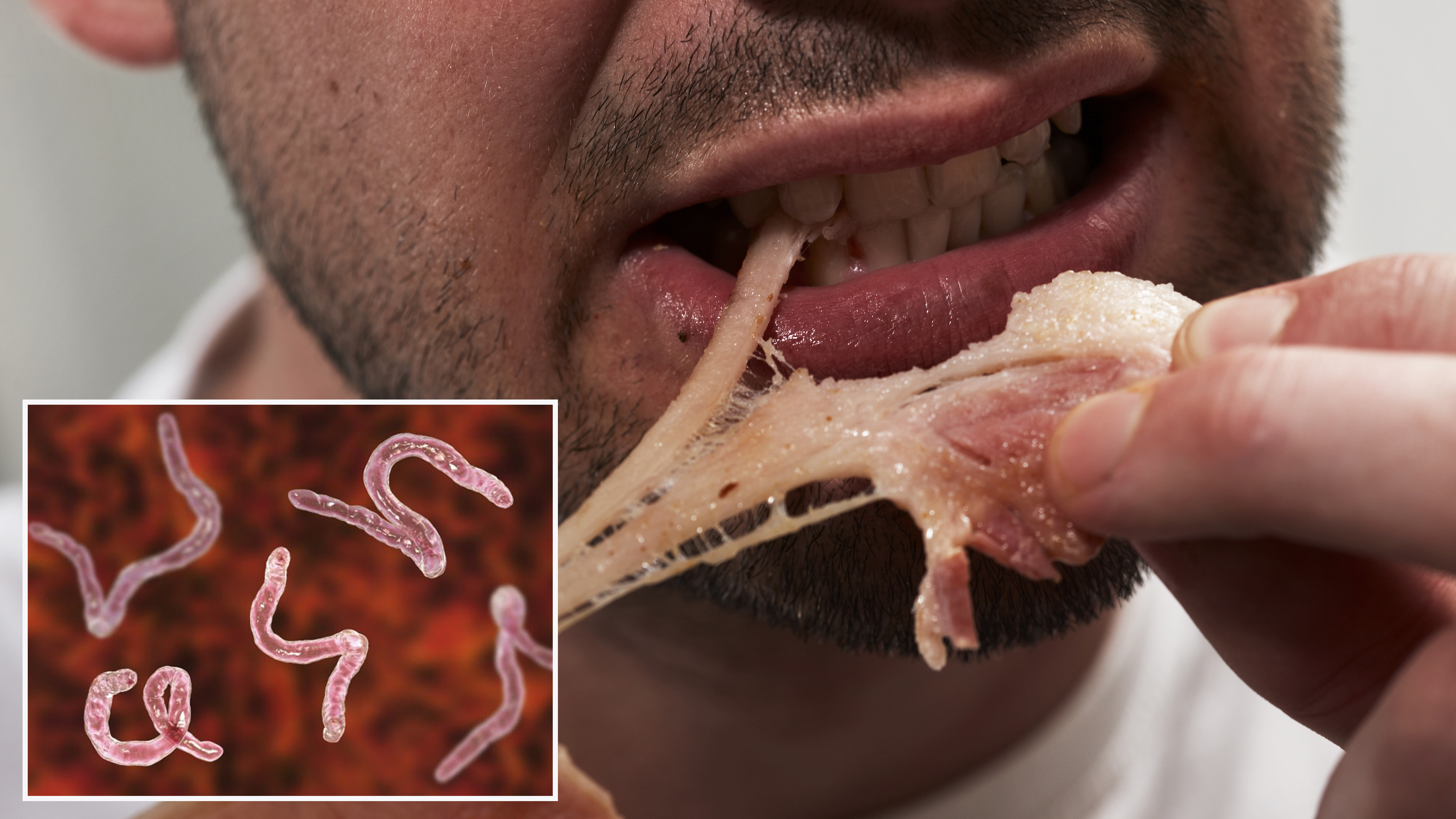 Detail Pork Coca Cola Maggots Nomer 21