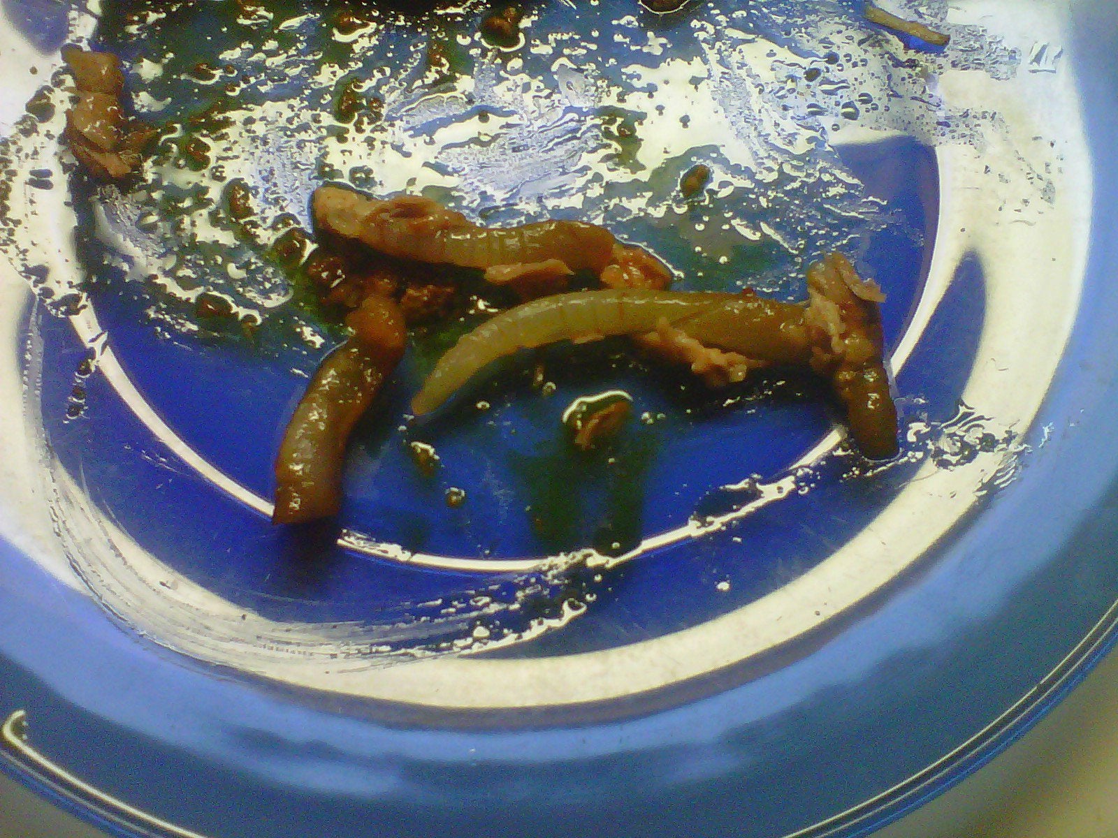 Detail Pork Coca Cola Maggots Nomer 43