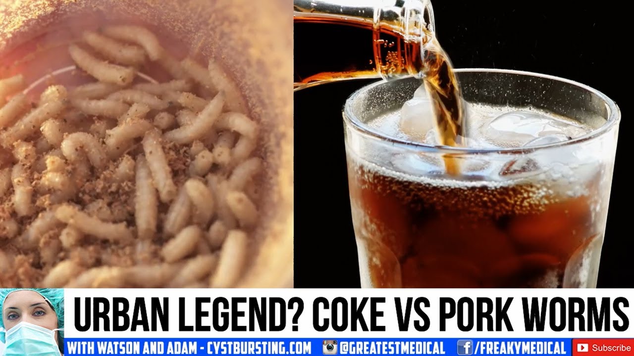 Detail Pork Coca Cola Maggots Nomer 7
