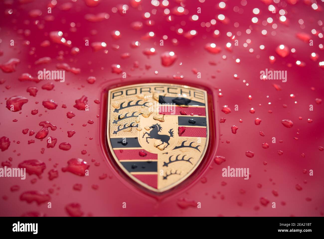 Detail Porsche Log Nomer 38
