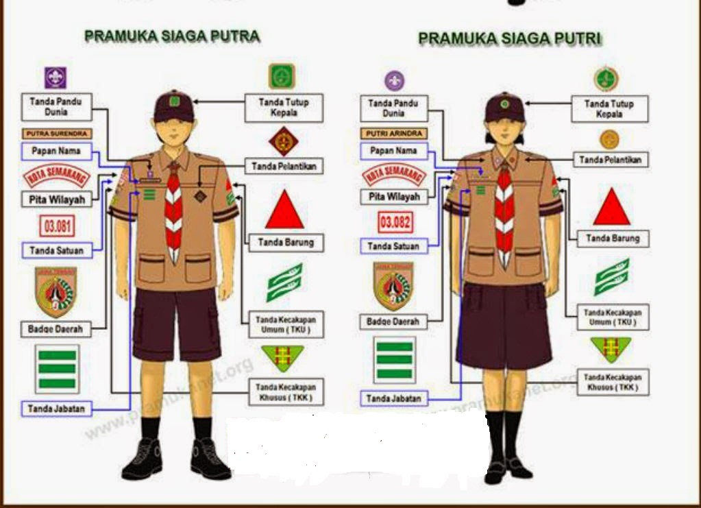 Detail Posisi Emblem Pramuka Nomer 13