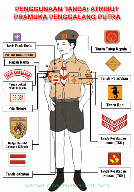 Detail Posisi Emblem Pramuka Nomer 18