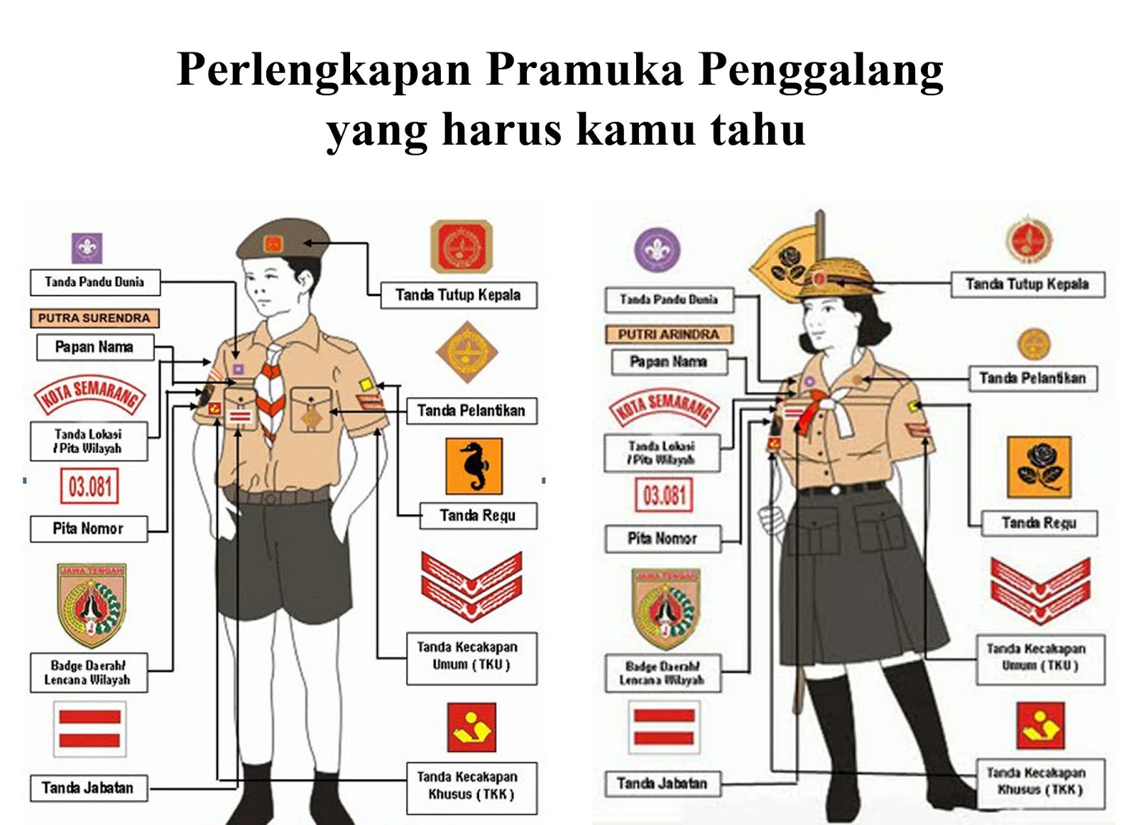 Detail Posisi Emblem Pramuka Nomer 19