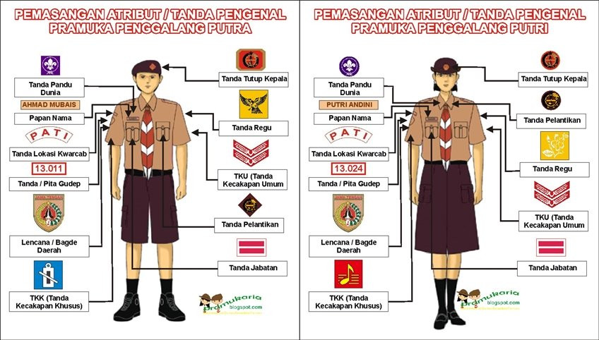 Detail Posisi Emblem Pramuka Nomer 24