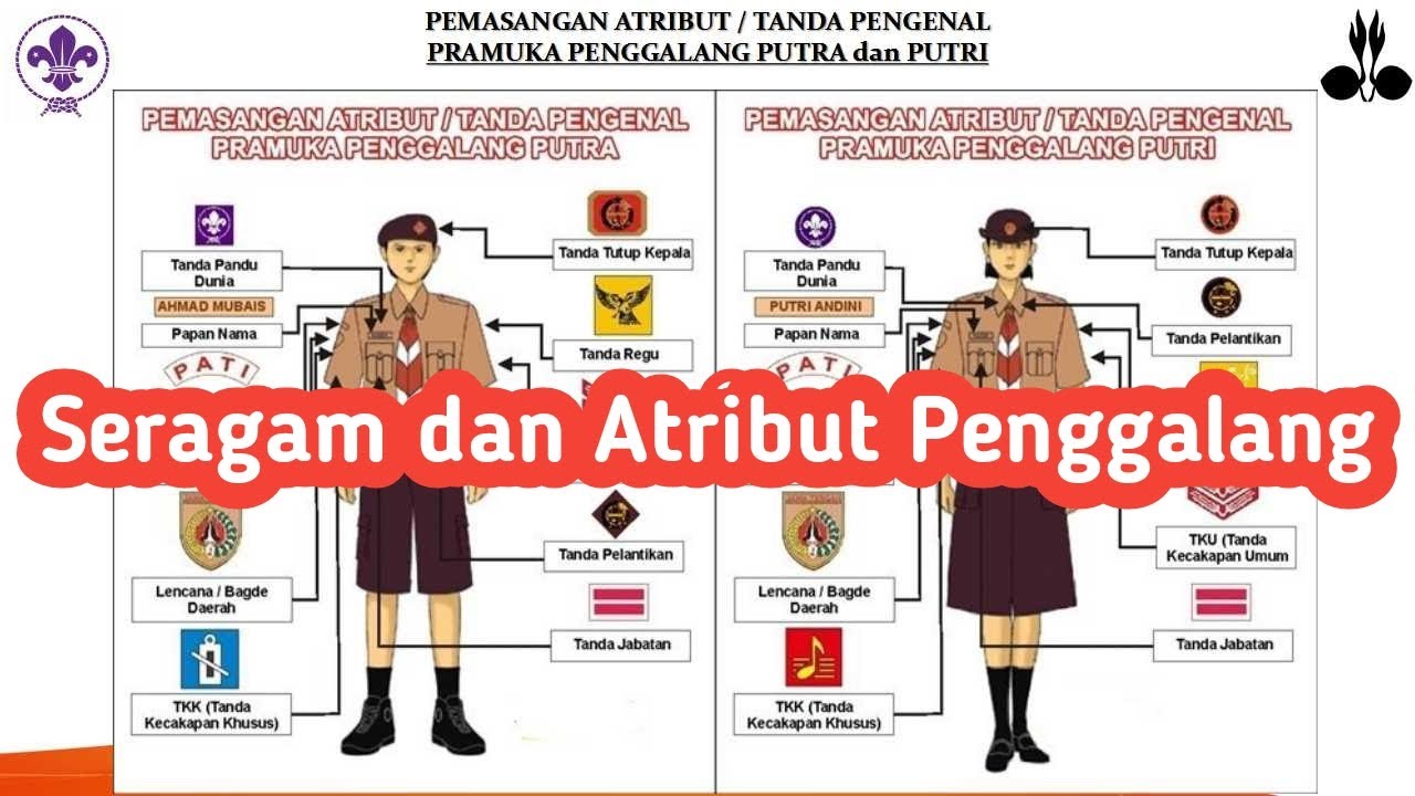 Detail Posisi Emblem Pramuka Nomer 29
