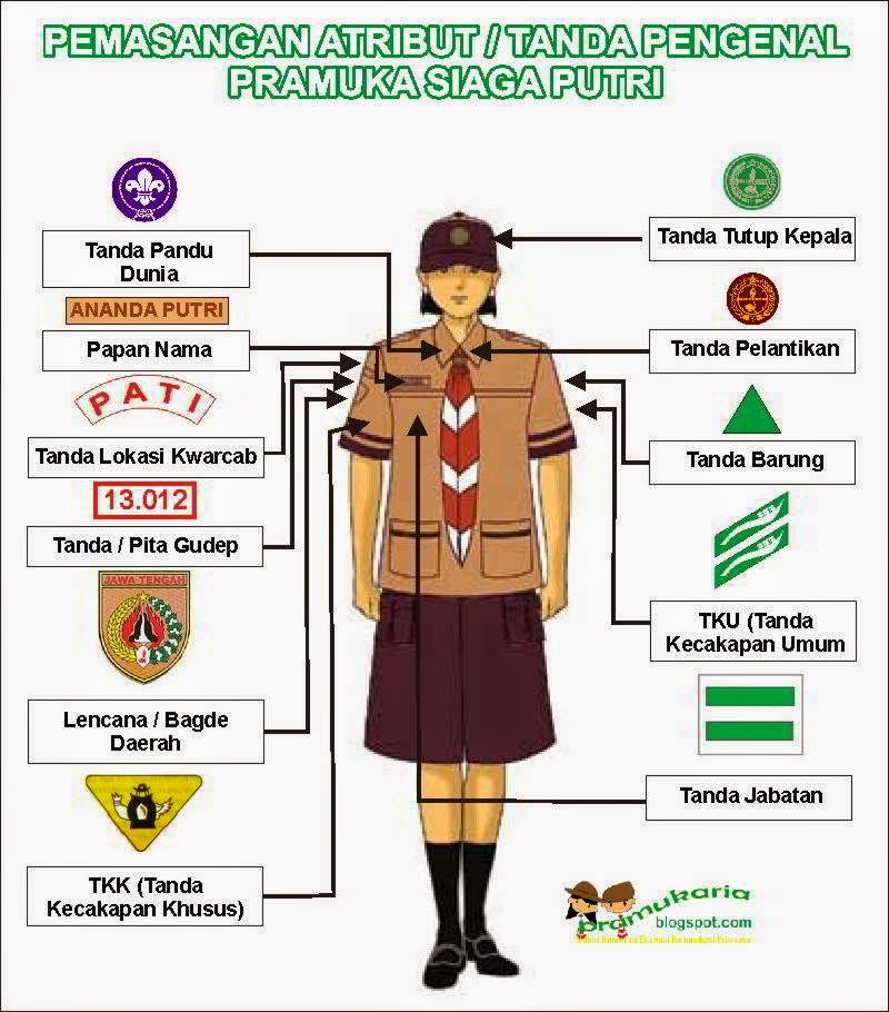 Detail Posisi Emblem Pramuka Nomer 7