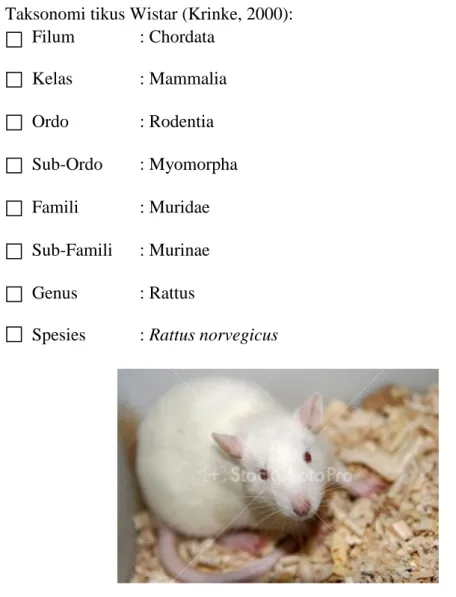 Detail Posisi Gambar Tikus Di Atas Kandang Nomer 42