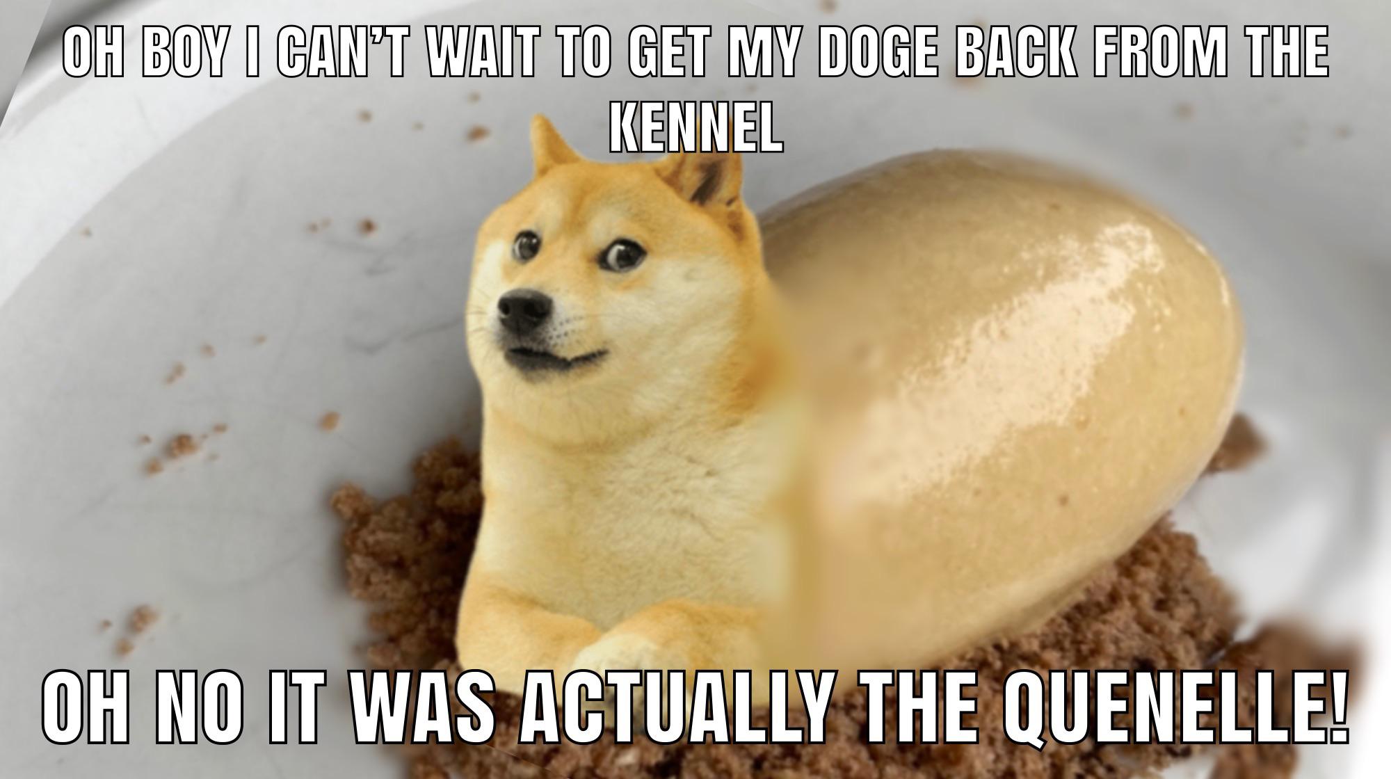 Detail Post Ironic Doge Nomer 19