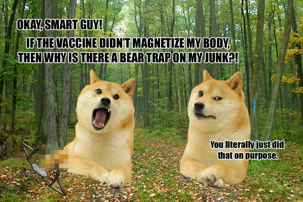 Detail Post Ironic Doge Nomer 24