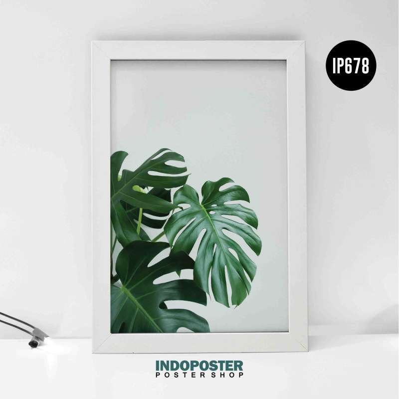 Detail Poster Daun Monstera Nomer 26