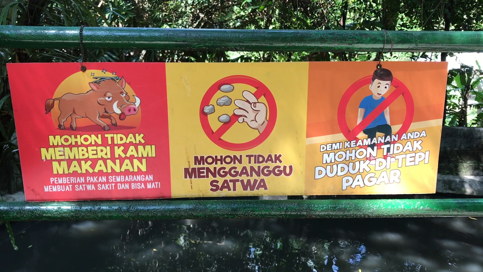 Detail Poster Dilarang Memberi Makan Hewan Nomer 18