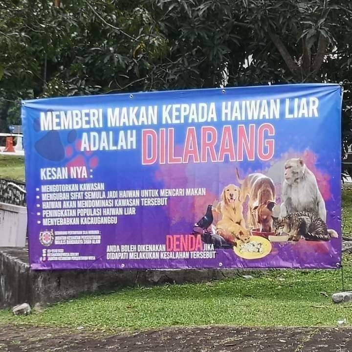 Detail Poster Dilarang Memberi Makan Hewan Nomer 32