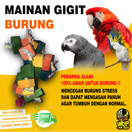 Detail Poster Gambar Ayo Lestarikan Burung Nomer 15