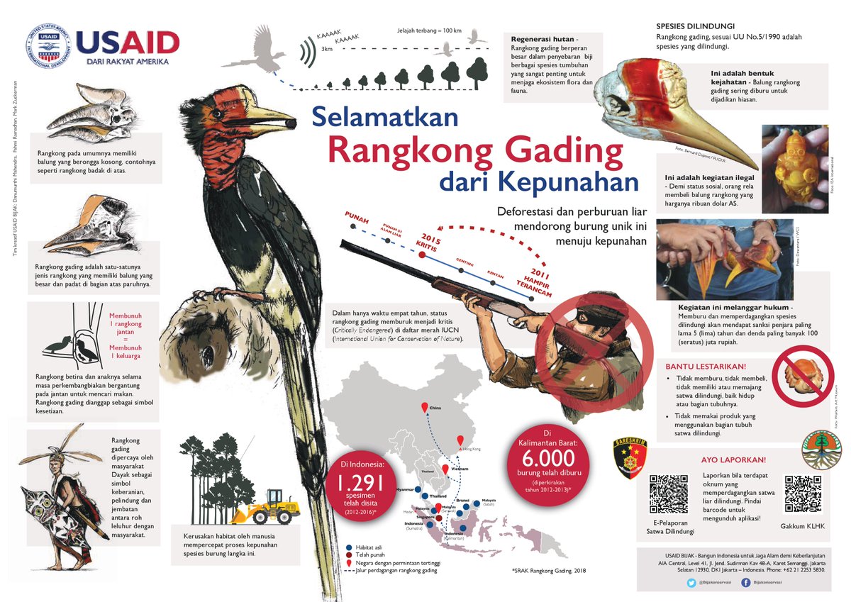 Detail Poster Gambar Ayo Lestarikan Burung Nomer 34