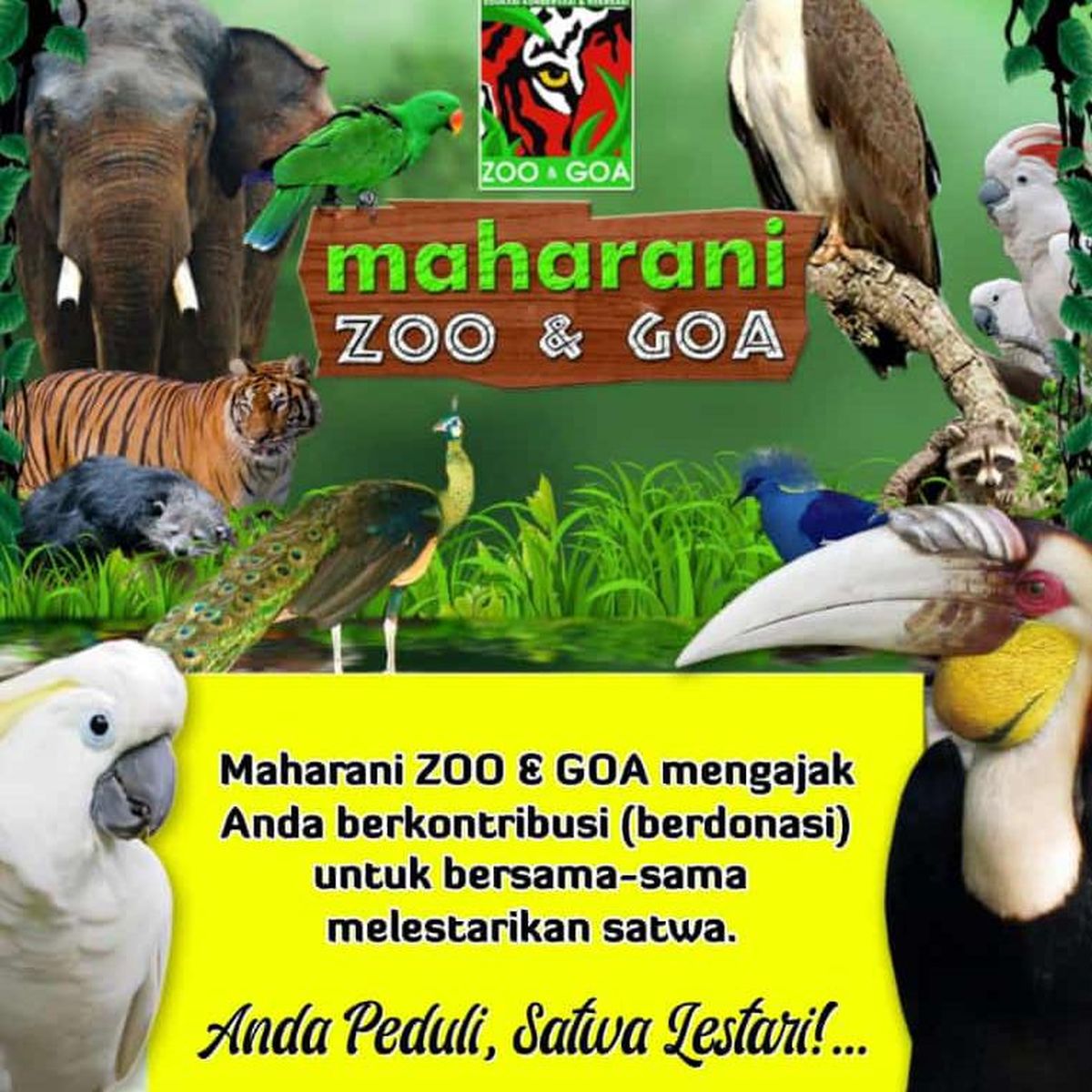 Detail Poster Gambar Ayo Lestarikan Burung Nomer 35