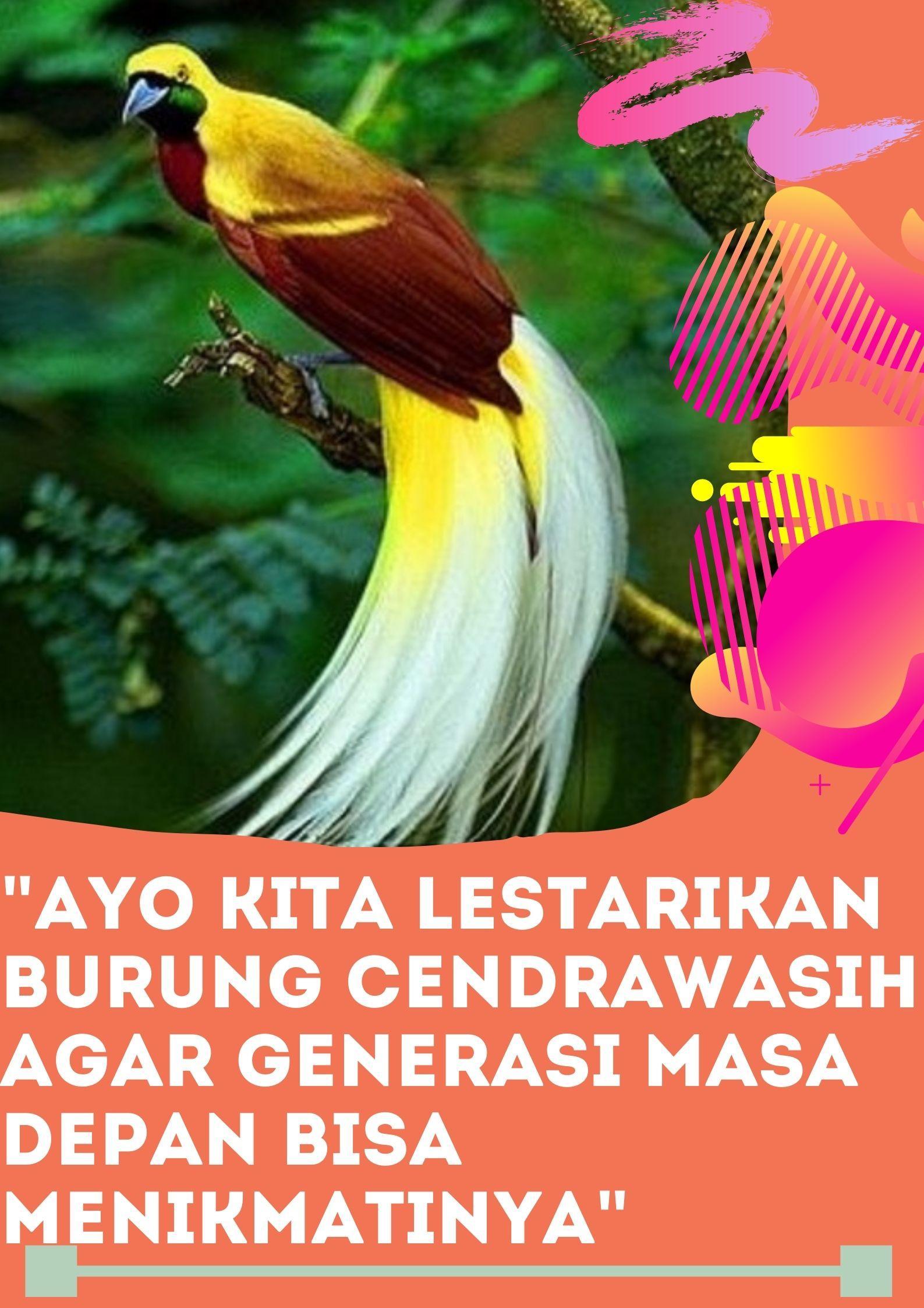 Detail Poster Gambar Ayo Lestarikan Burung Nomer 8