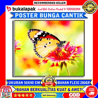 Detail Poster Kupu Kupu Nomer 39