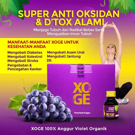 Detail Poster Manfaat Jus Buah Nomer 38