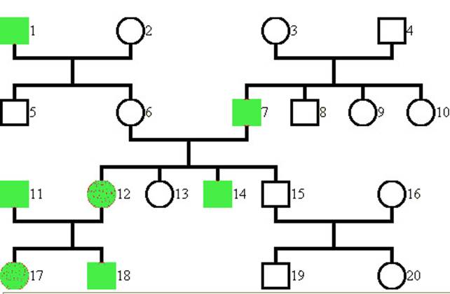 Detail Arbeitsblatt Ohr Biologie Nomer 6