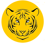 Detail Augen Zu Kleiner Tiger Nomer 25
