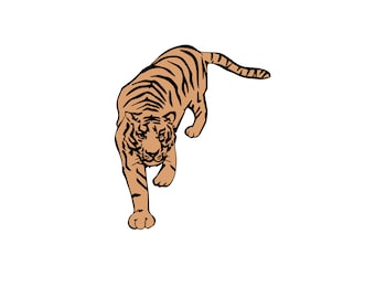 Detail Augen Zu Kleiner Tiger Nomer 26