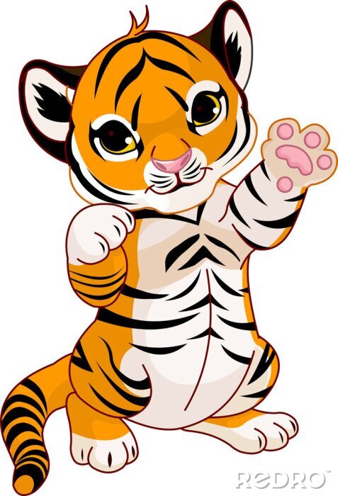 Detail Augen Zu Kleiner Tiger Nomer 7
