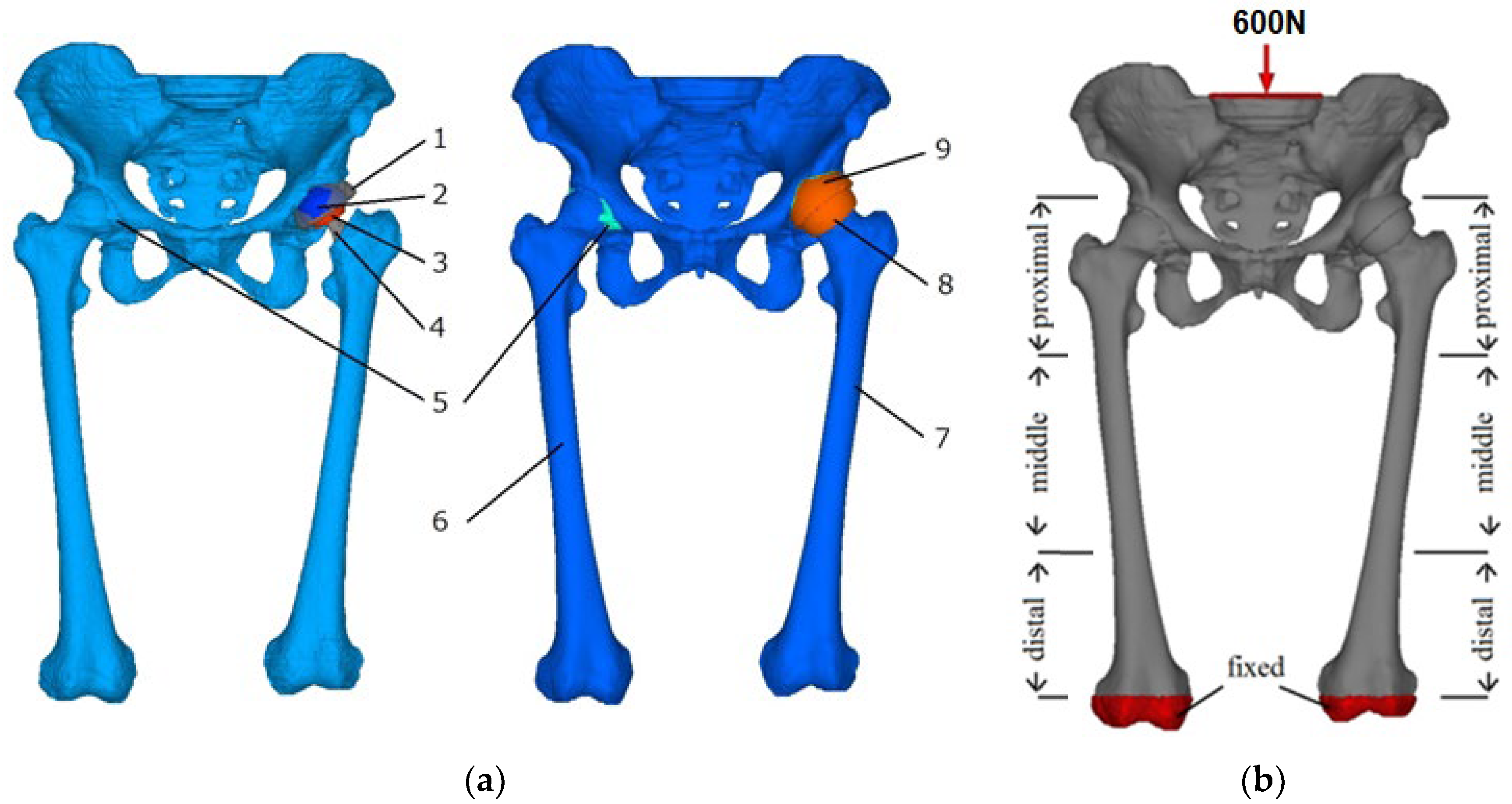 Bones Paid Programming 2 - KibrisPDR