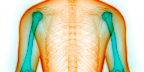 Detail Bones Paid Programming 2 Nomer 8