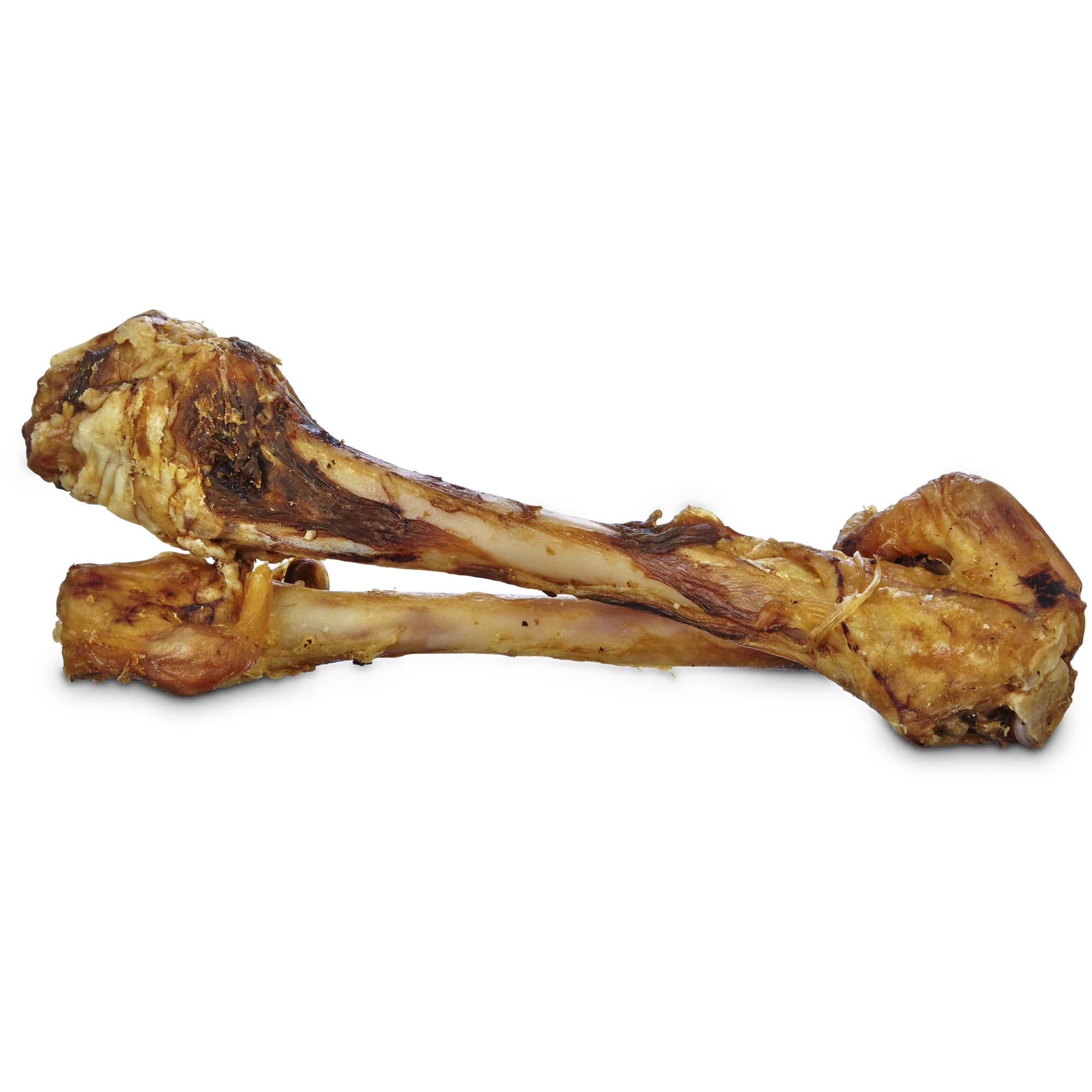 Detail Bones Paid Programming 2 Nomer 17