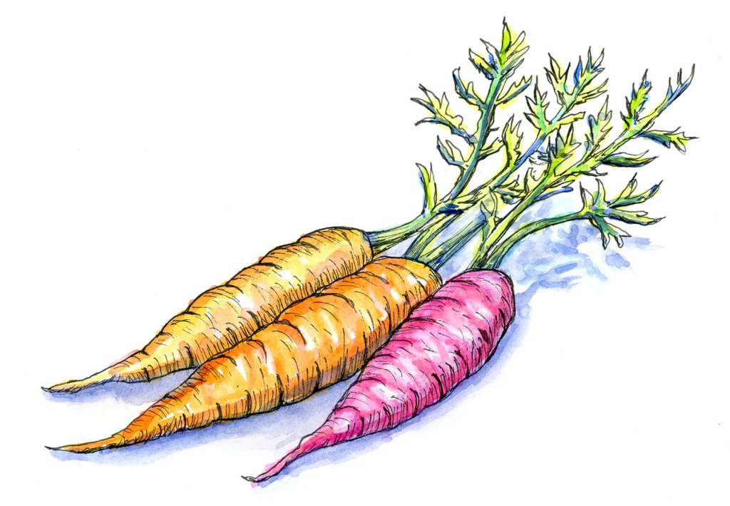 Detail Chasing Carrot Nomer 24