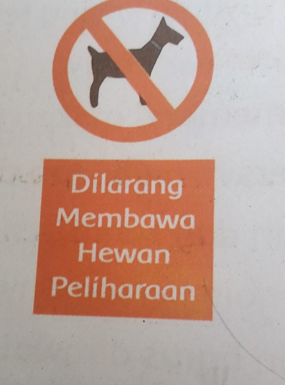 Detail Dilarang Membawa Hewan Peliharaan Nomer 50