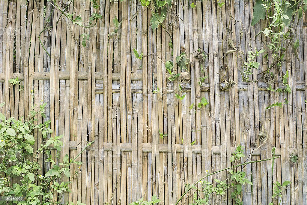 Detail Dinding Dari Bambu Nomer 16