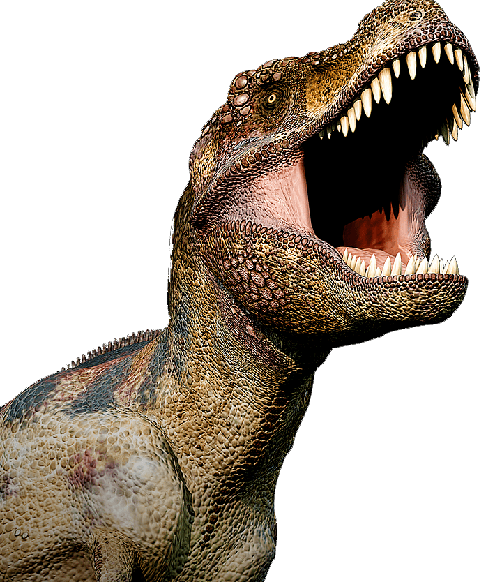 Dino Image - KibrisPDR