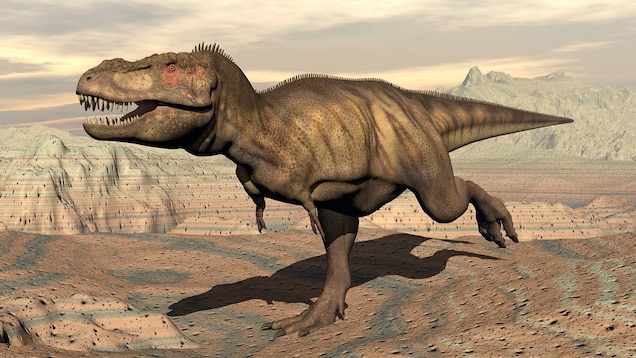 Detail Dino Image Nomer 2