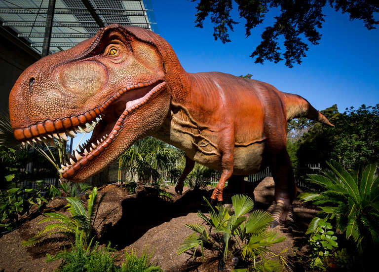 Detail Dino Image Nomer 29