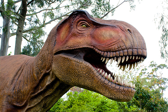 Detail Dino Image Nomer 4