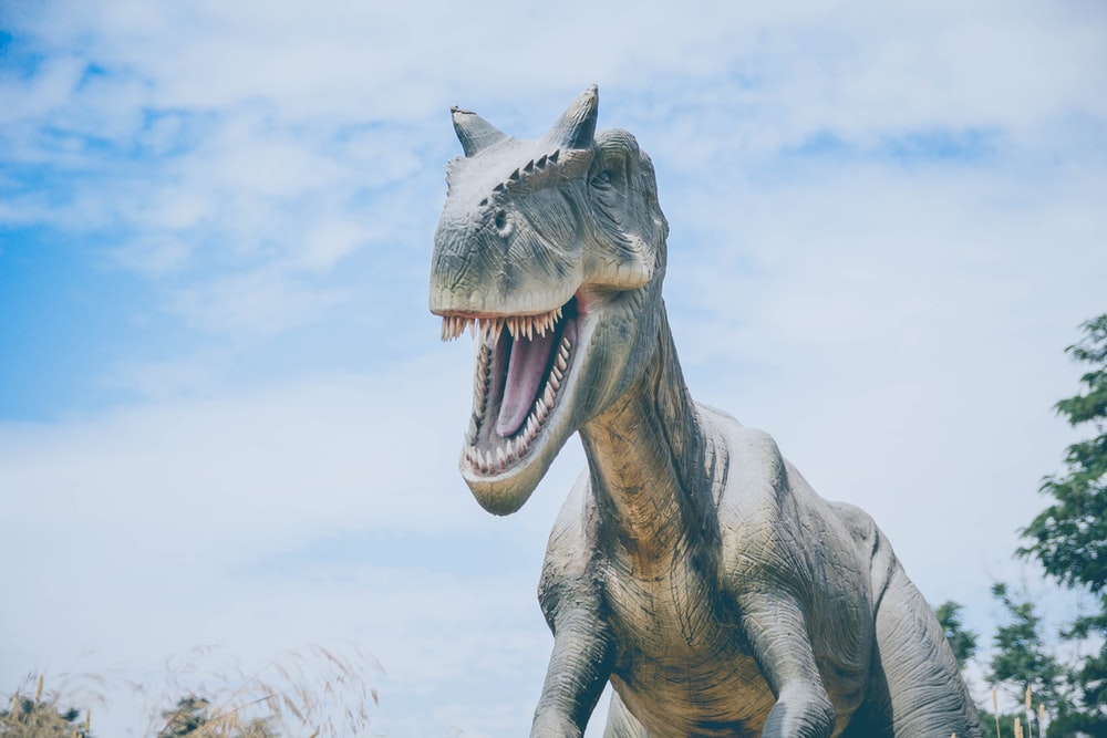 Detail Dinosaur Download Nomer 29