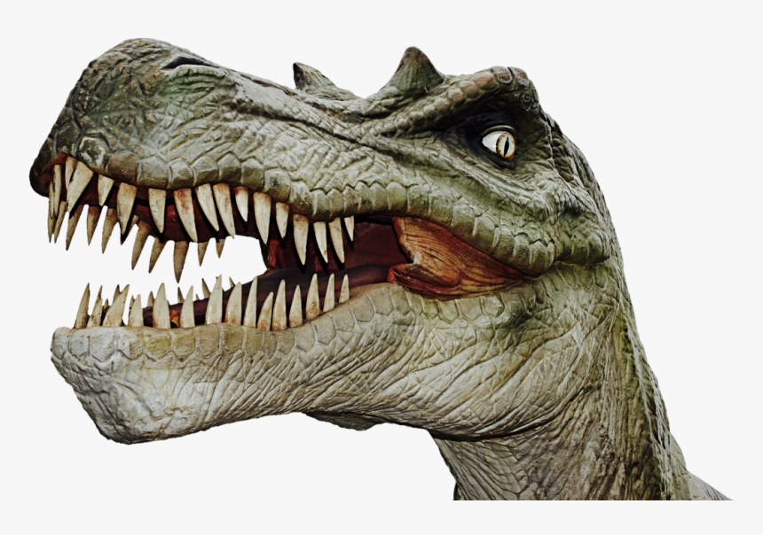 Detail Dinosaur Download Nomer 45