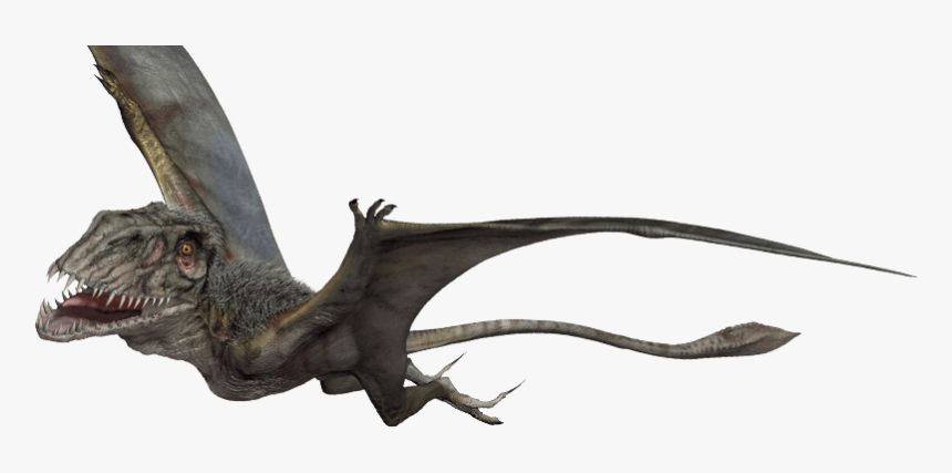 Detail Dinosaur Download Nomer 55
