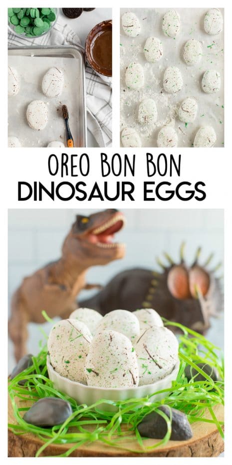 Detail Dinosaur Egg Oatmeal Wiki Nomer 20