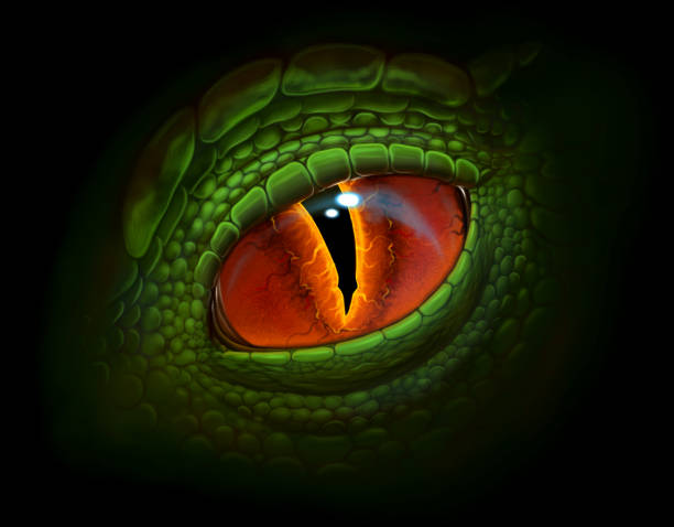 Dinosaur Eye Clipart - KibrisPDR