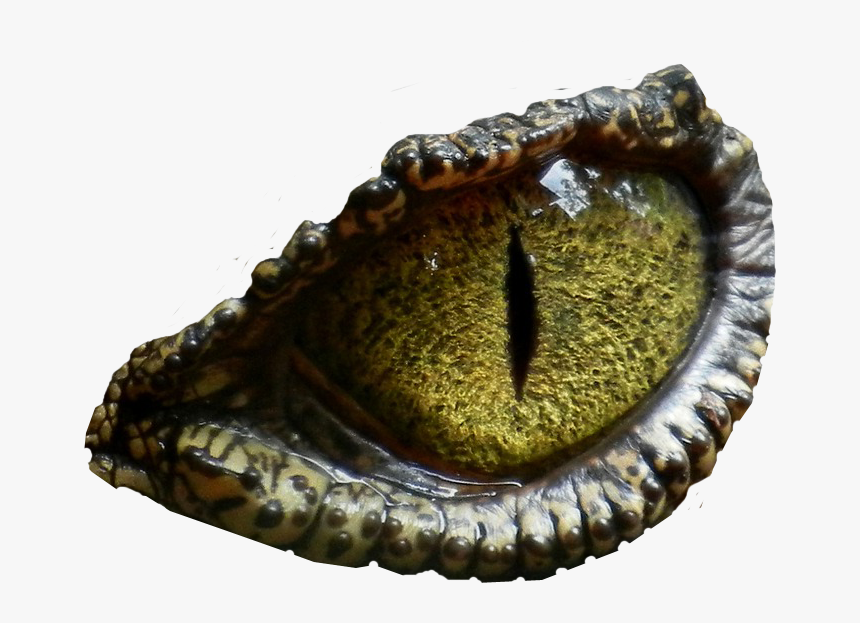 Detail Dinosaur Eye Clipart Nomer 4