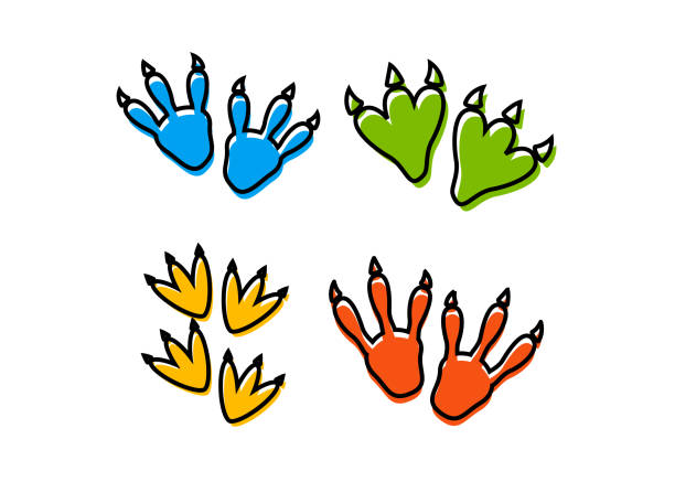 Detail Dinosaur Footprints Clipart Nomer 3