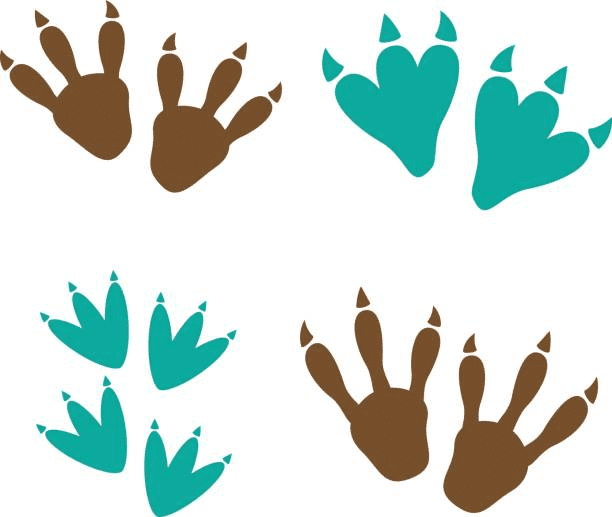 Detail Dinosaur Footprints Clipart Nomer 42