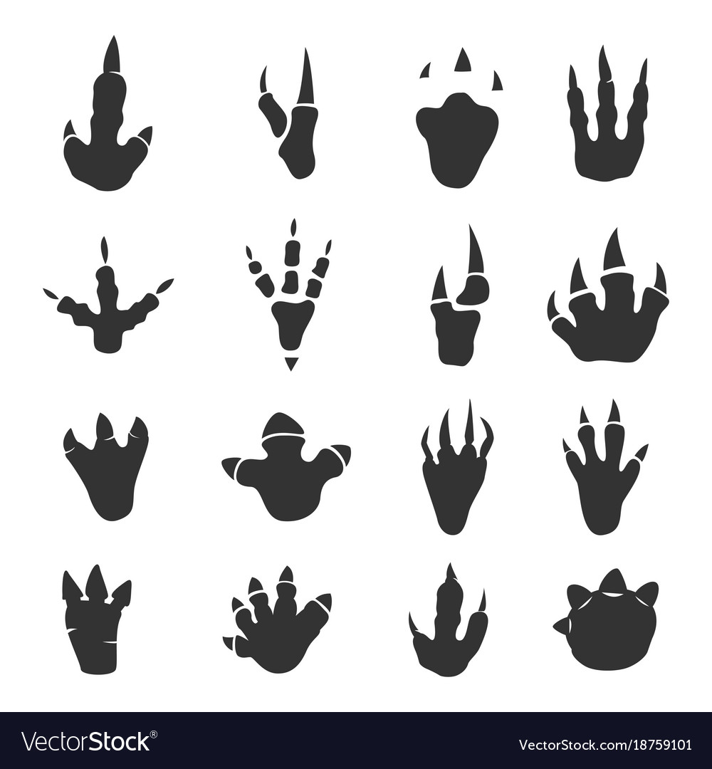 Dinosaur Footprints Vector - KibrisPDR