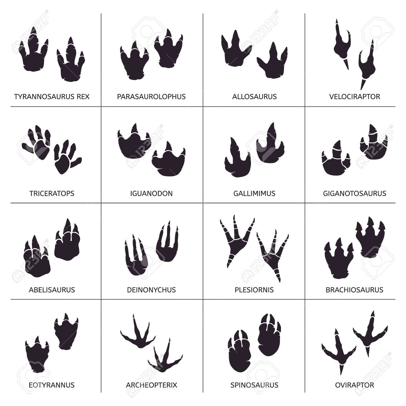 Detail Dinosaur Footprints Vector Nomer 17